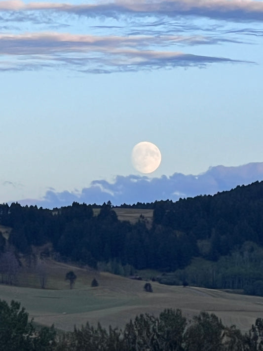 Full Snow Moon Tea Ceremony